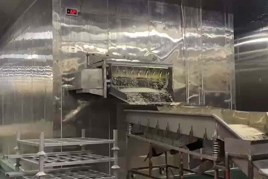 Продовольственная компания в провинции Фуцзянь разрабатывает проект туннеля быстрой заморозки.