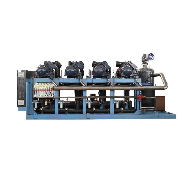 Параллельный блок конденсации воды с поршнем Bizer при низкой температуре